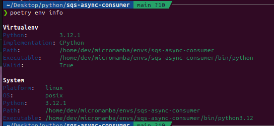 python asyncio SQS consumer